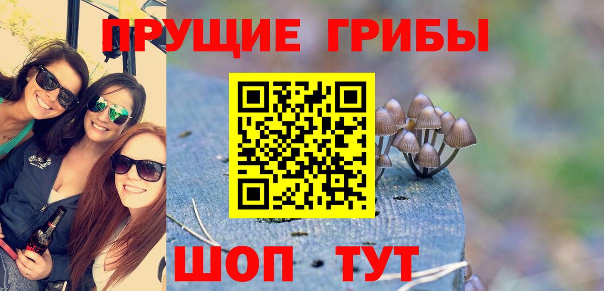 Псилоцибиновые грибы Magic Shrooms Среднеуральск
