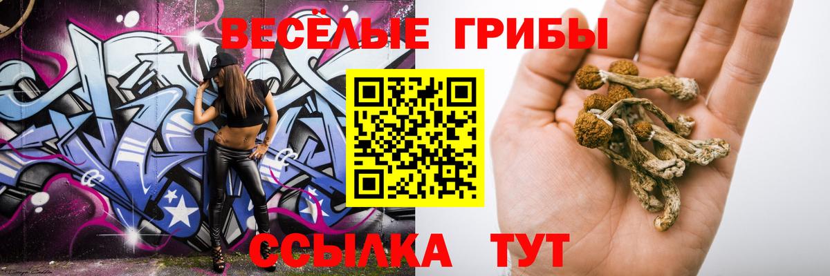 Среднеуральск  Галлюциногенные грибы Psilocybe  Вход с VPN 